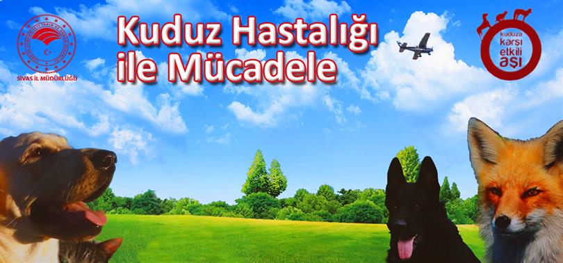 Havadan Kuduz Aşısı Atılacak